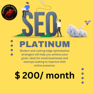 SEO Services COst