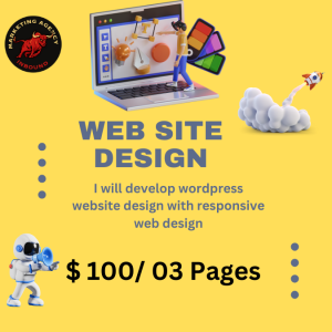 Website Design