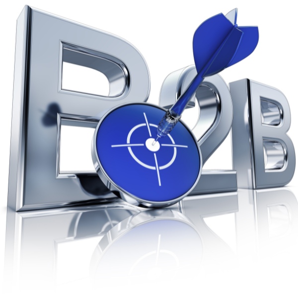 Enterprise & B2B SEO